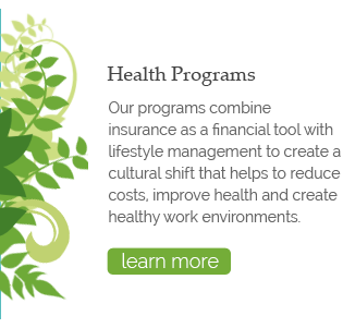 Sophus Health programs combine health insurance and lifestyle management